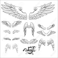Angel Wings Vector Lettering Drawing