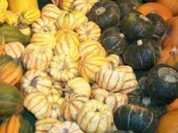 Types Of Squash Summer And Winter Squash Whats Cooking