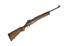 ruger mini 14 history shooting