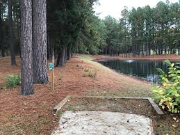 The iconic hornet's nest has been resurrected with a new layout and amenities. Hornets Nest Hole 2 In Charlotte Nc Threw My Latitude River Into Pond Oh The Irony Discgolf