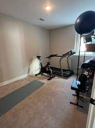 small workout room design the lilypad