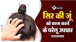 how to remove lice eggs quickly hindi