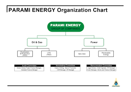 Organization Chart Parami Energy Group Of Companies