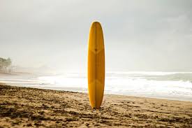 surfboard design the ultimate guide