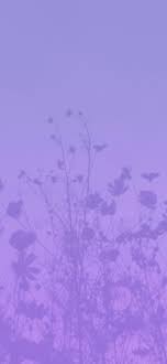 lavender aesthetic wallpapers lavender