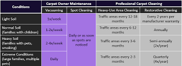 how often should you clean your carpet