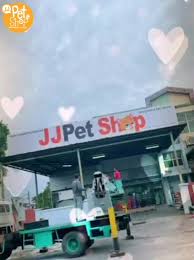 Nationwide delivery and click & collect available. Jj Pet Shop Kuching Home Facebook