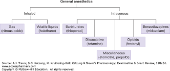 General Anesthetics Katzung Trevors Pharmacology