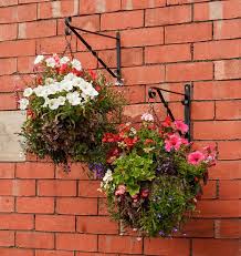 How To Plant A Hanging Basket