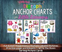 Literacy Anchor Charts For Little Learners Little Bird
