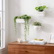 Easy to care for succulent plants are wonderful way to brighten up your planter shelf! Best Wall Planters To Buy Now Martha Stewart
