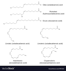 unsaturated fatty acids vector image