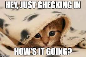 Image result for hows it going