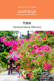 竹富島 観光の見どころ 沖縄 八重山諸島 taketomi island okinawa 竹富島 沖縄 沖縄旅行