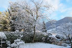 Italian Garden In Winter Snow Covered