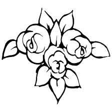 rose drawing royalty free stock free vector