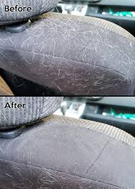 remove dog hair from a car guide