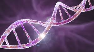 mind ing facts about human genetics
