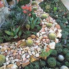 Front Yard Landscaping Ideas With Rocks