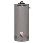 Performance Platinum 40 Gal Gas Water Heater with 12 Year Warranty 630144 Rheem