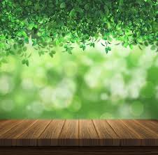 natural background images free