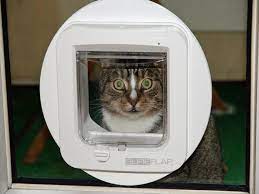 Cat Flap Installation Services