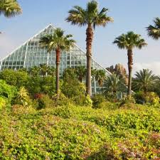 moody gardens 1892 photos 546