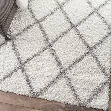 best rug cleaning in austin water