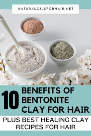 aztec secret healing clay for hair