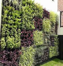 Outdoor Vertical Garden Services In