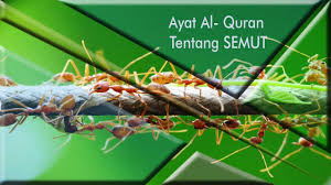 Selain guna petua halau semut yang biasa, apa salahnya guna doa. Ayat Al Quran Tentang Semut Surah An Naml Ayat 18 19 Youtube