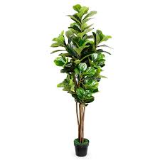 Get 5% in rewards with club o! Tusy Fiddle Leaf Fig Tree 6 Feet Fake Plants Artificial Trees For Home Decor Or Office Indoor Outdoor Decoration Buy Online In Bermuda At Bermuda Desertcart Com Productid 111345798