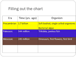 Geological Time Scale What Time Is It Ppt Video Online