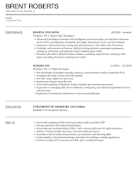 sql developer resume sles velvet jobs