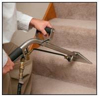carpet cleaning professionals windsor