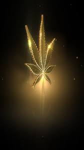 44 live weed wallpapers for laptop