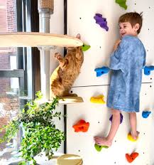 Freestyle Cat Tree Floor To Ceiling