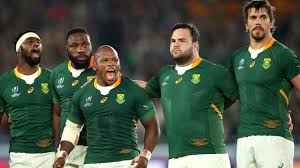 South african rugby news, fixtures, results, video, interviews, and more. Rugby World Cup South Africa Through To Final Against England The New Daily