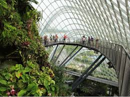 gardens by the bay cloud forest