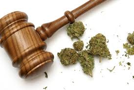 You've come to the right place. Florida Marijuana Laws What You Need To Know Jack Bernstein Law