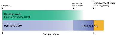 What is the difference between hospice and palliative care? Types Of Care Palliative Comfort Hospice And Bereavement Services Caringinfo