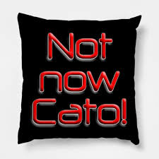 Not Now Cato