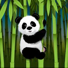 panda wallpapers panda pictures