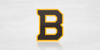 Meaning and history the hockey club from boston has had two main. Bruins Show Off 2019 Winter Classic Crest Too Icethetics Co