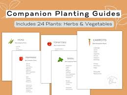 Companion Planting Chart Quick Garden