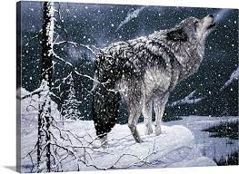 Lone Wolf Wall Art Canvas Prints