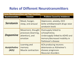 Roles Of Different Neurotransmitters