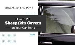 Sheepskin Covers On Your Car Seats