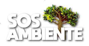 A "Santa Casa da Misericórdia de Almada" vai organizar um evento de cariz  ambiental, denominado "SOS Ambiente" - As nossas NOTÍCIAS - SCMA