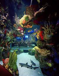See Inside the Aquarium Restaurant in Nashville TN gambar png
